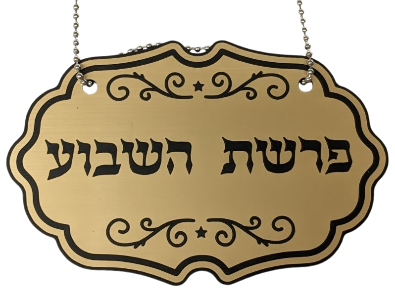 Sefer Torah Medallion Torah Identifier single