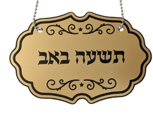 Load image into Gallery viewer, Sefer Torah Medallion Torah Identifier single
